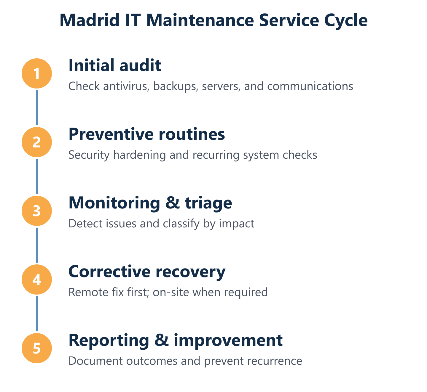 Madrid IT maintenance cycle: audit, prevent, detect, fix, report