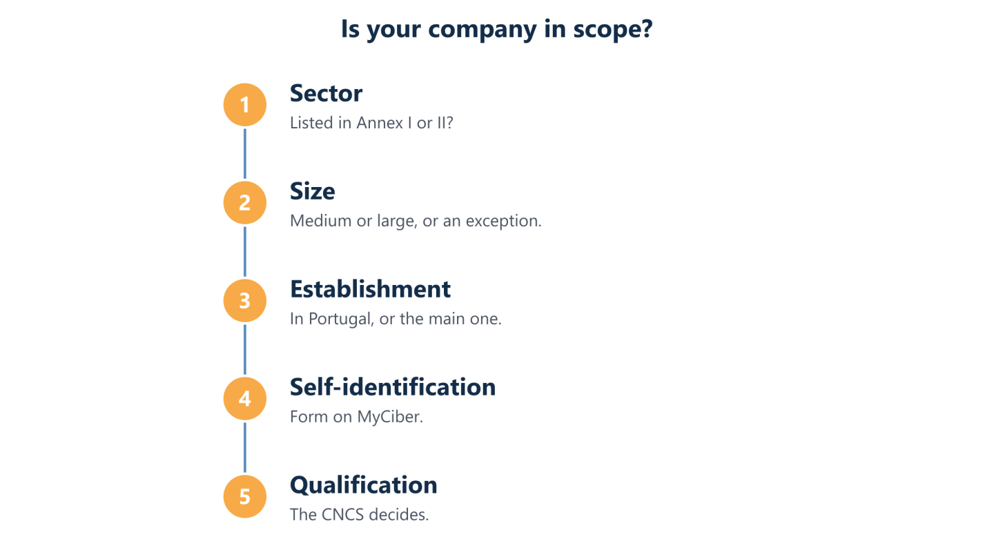 Five steps to check whether a company is in scope of NIS2 in Portugal, from sector to CNCS qualification